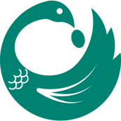 Beach Teal Sankofa Bird-1