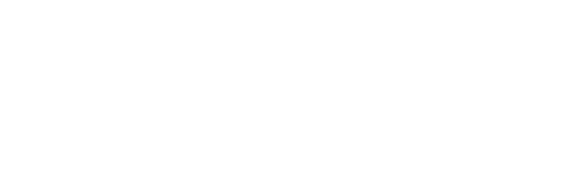 CDC Twerked Logo-1